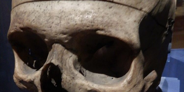 La calavera de Antonin Carême