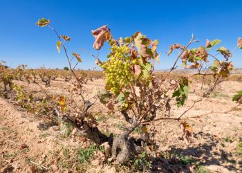La catástrofe climática