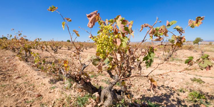 La catástrofe climática