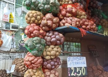 UNA BREVE HISTORIA DE LA PATATA EN EUROPA. I El otro oro de los Incas.