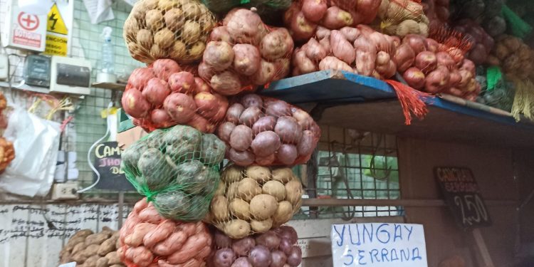 UNA BREVE HISTORIA DE LA PATATA EN EUROPA. I El otro oro de los Incas.